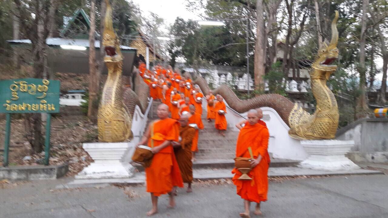 ร่วมพิธีทำบุญตักบาตรเนื่องในวันมาฆบูชา ประจำปี 2559